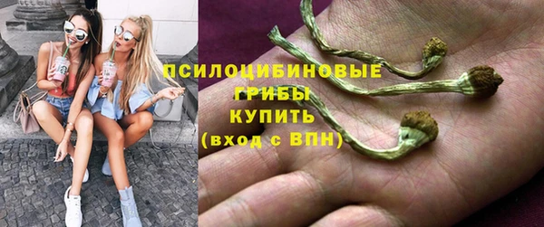 гашик Алексеевка