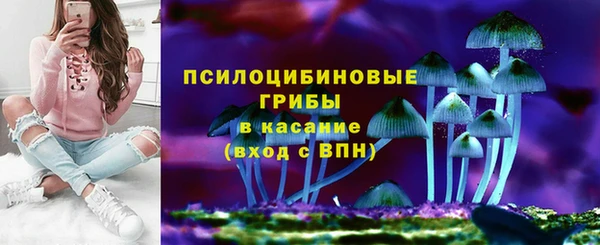 гашик Алексеевка