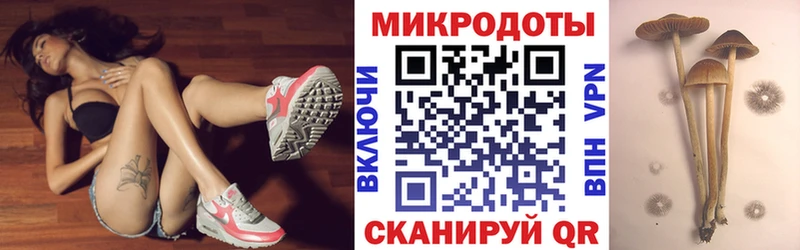omg зеркало  купить наркотики цена  Губкин  Псилоцибиновые грибы Magic Shrooms 
